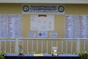 2015 Amateur Public Links 068.JPG